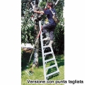Foto particolari