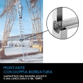 Montante